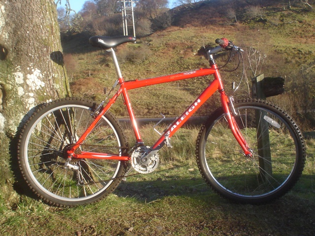 Raleigh red online bike